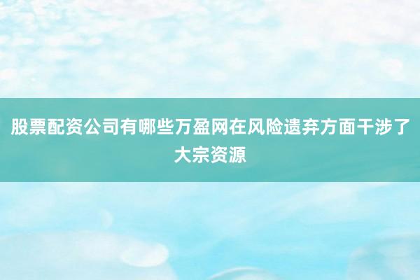 股票配资公司有哪些万盈网在风险遗弃方面干涉了大宗资源