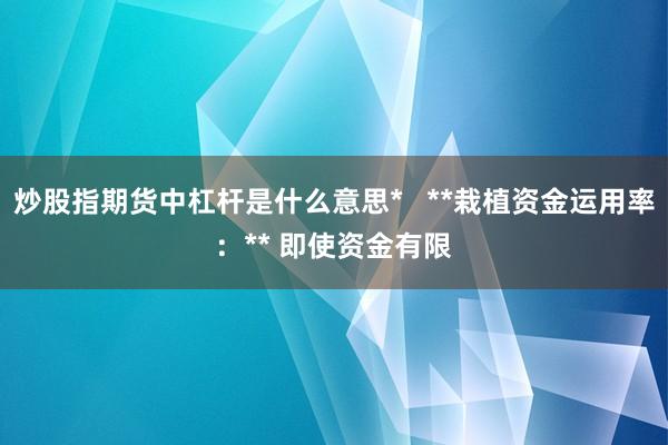 炒股指期货中杠杆是什么意思*   **栽植资金运用率：** 即使资金有限