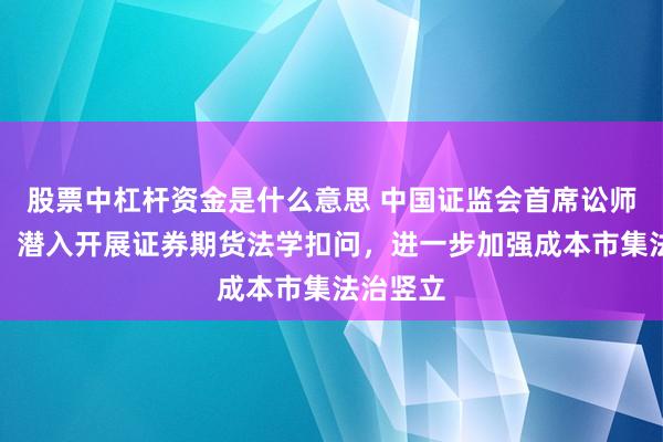 股票中杠杆资金是什么意思 中国证监会首席讼师程合红：潜入开展证券期货法学扣问，进一步加强成本市集法治竖立