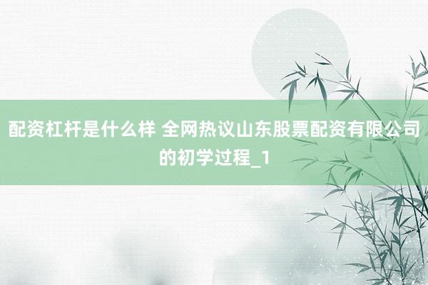 配资杠杆是什么样 全网热议山东股票配资有限公司的初学过程_1