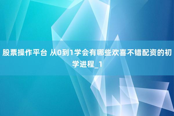 股票操作平台 从0到1学会有哪些欢喜不错配资的初学进程_1